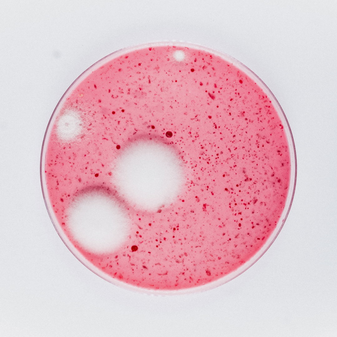 robocobra-quarter-art-itsnicethat-10.jpg