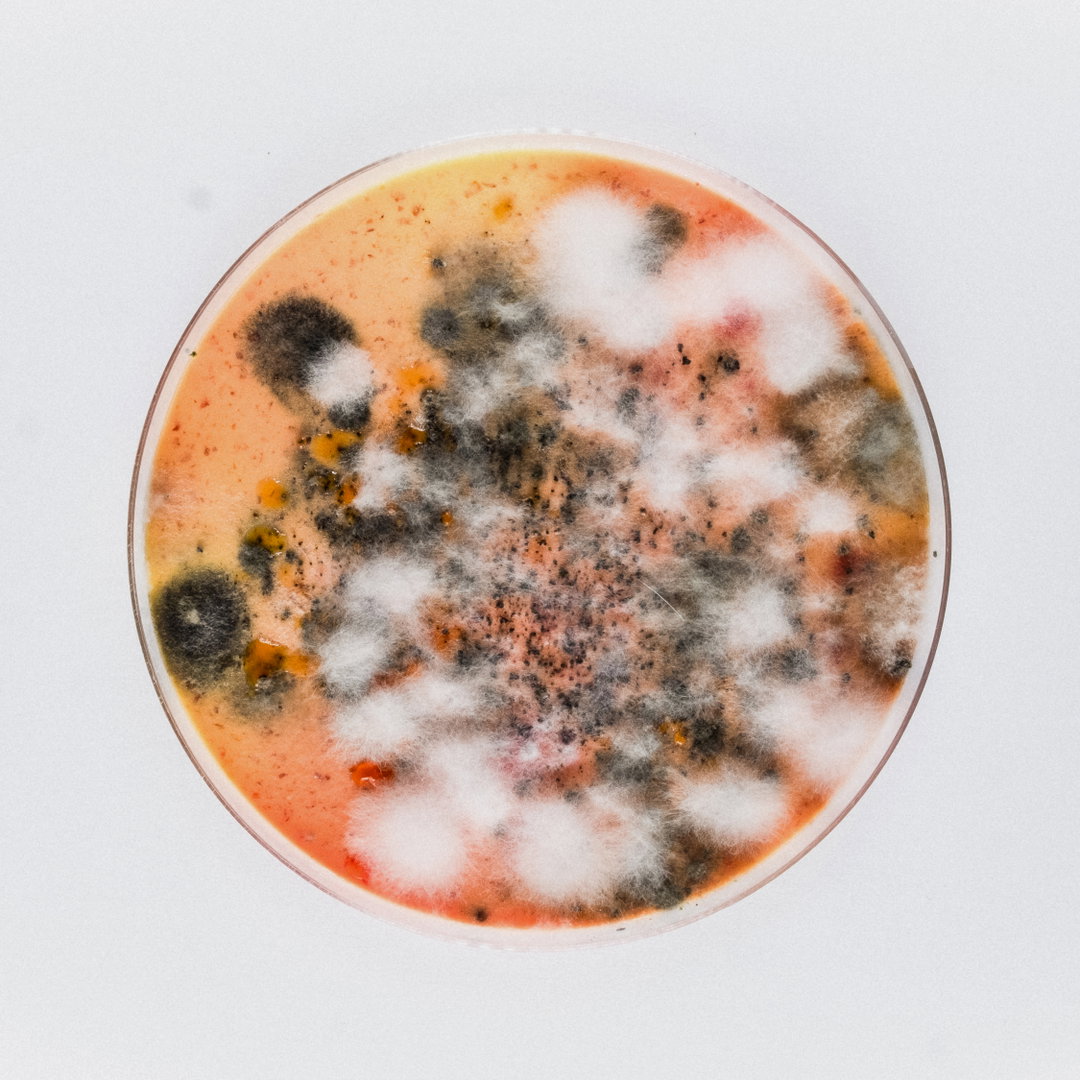 robocobra-quarter-art-itsnicethat-11.jpg