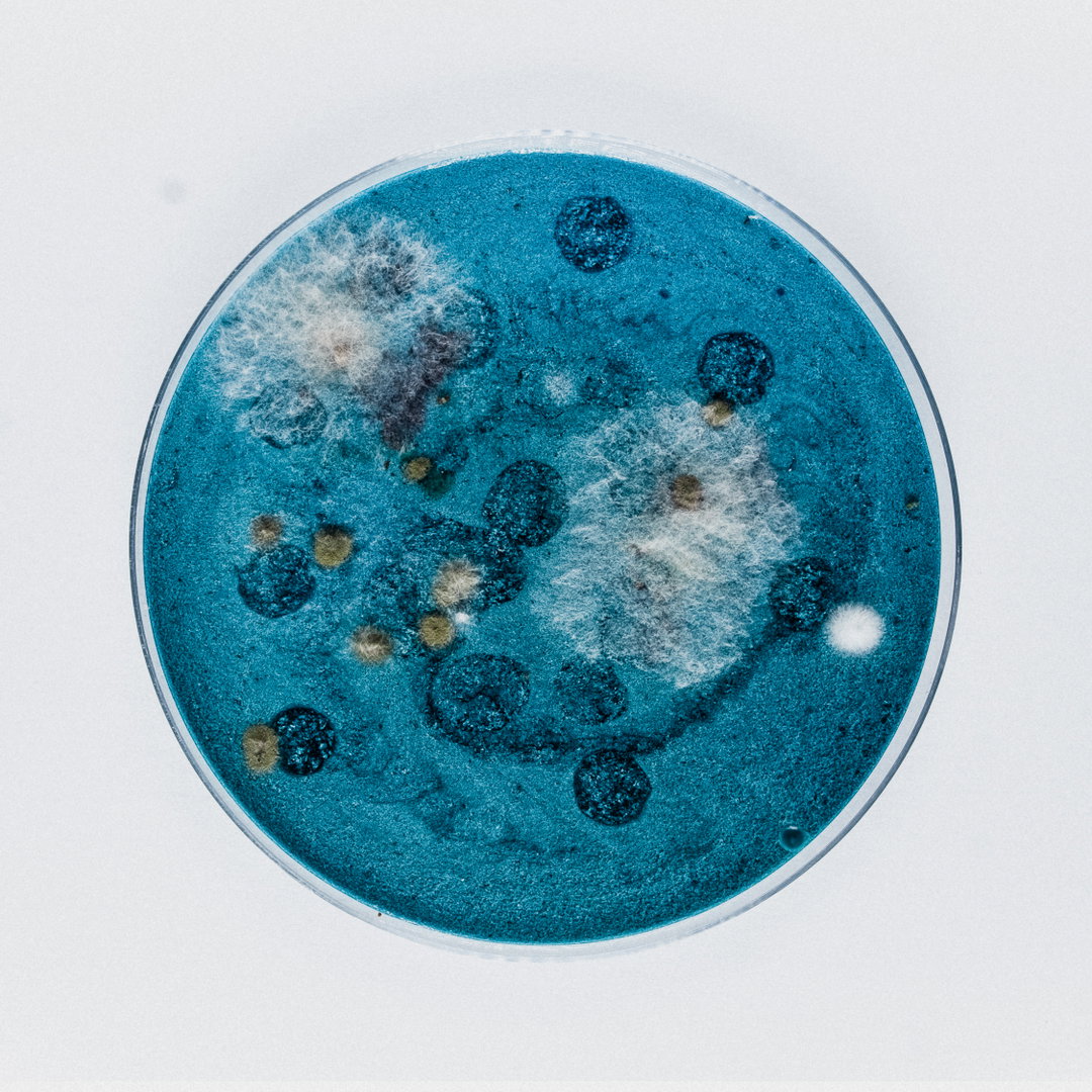 robocobra-quarter-art-itsnicethat-14.jpg