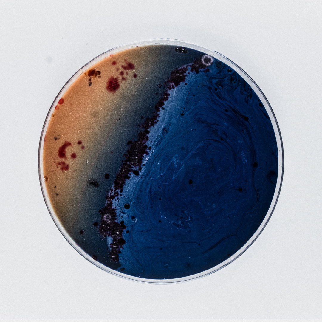robocobra-quarter-art-itsnicethat-15.jpg