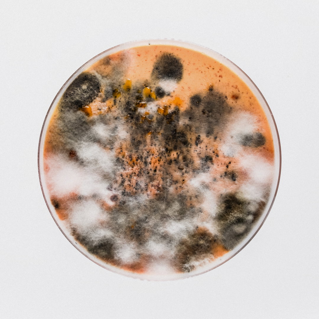 robocobra-quarter-art-itsnicethat-4.jpg