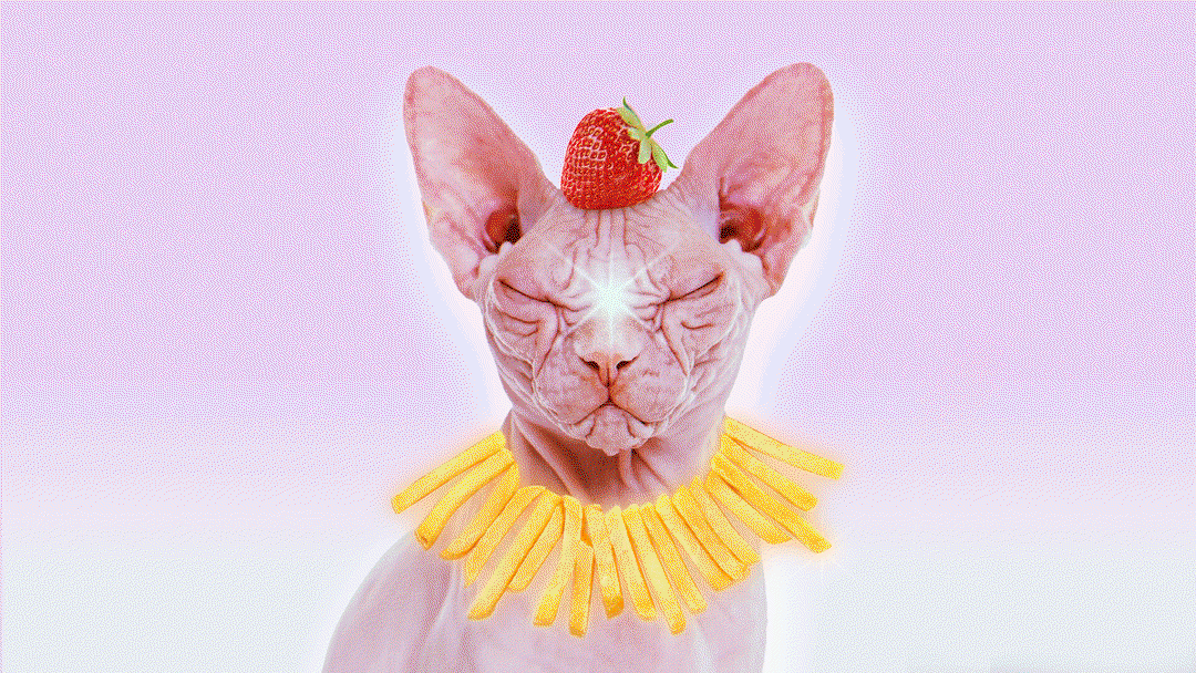 ryan-haskins-internet-food-court-work-graphic-design-itsnicethat-12.gif