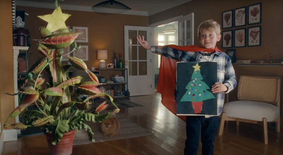Feed me, Seymour! John Lewis Christmas ad features flytrap trying to be regular spruce