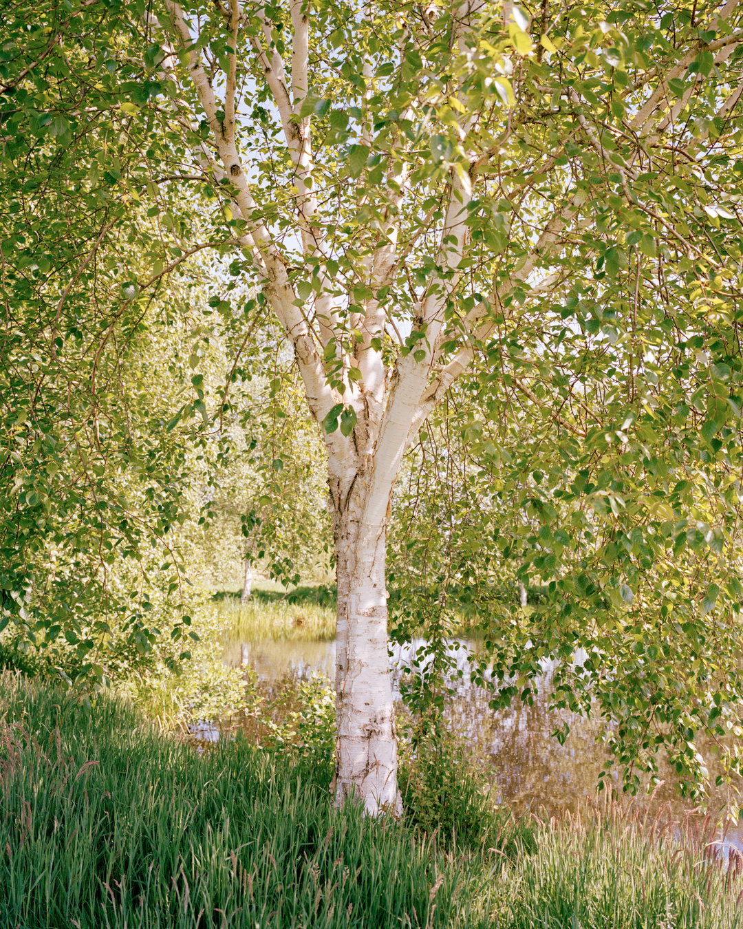 sabine-rovers-the-graduates-2020-photography-itsnicethat-2.jpg