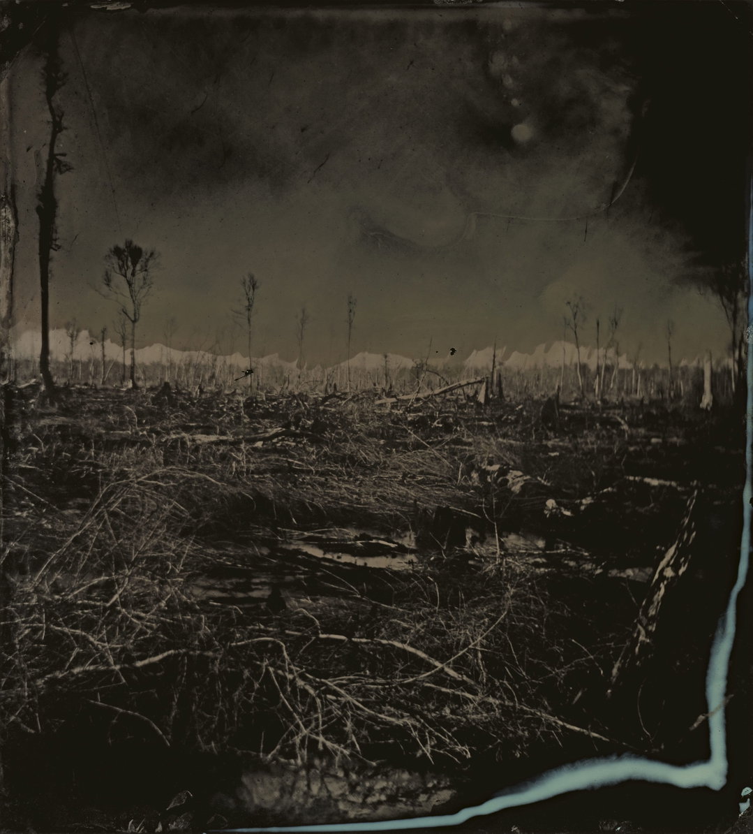sally-mann-blackwater-photography-itsnicethat.jpg