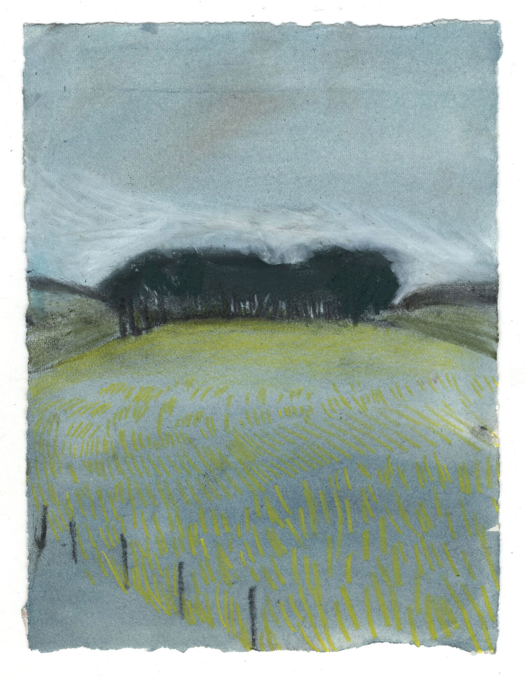 sammi-lynch-work-illustration-itsnicethat-13.jpg