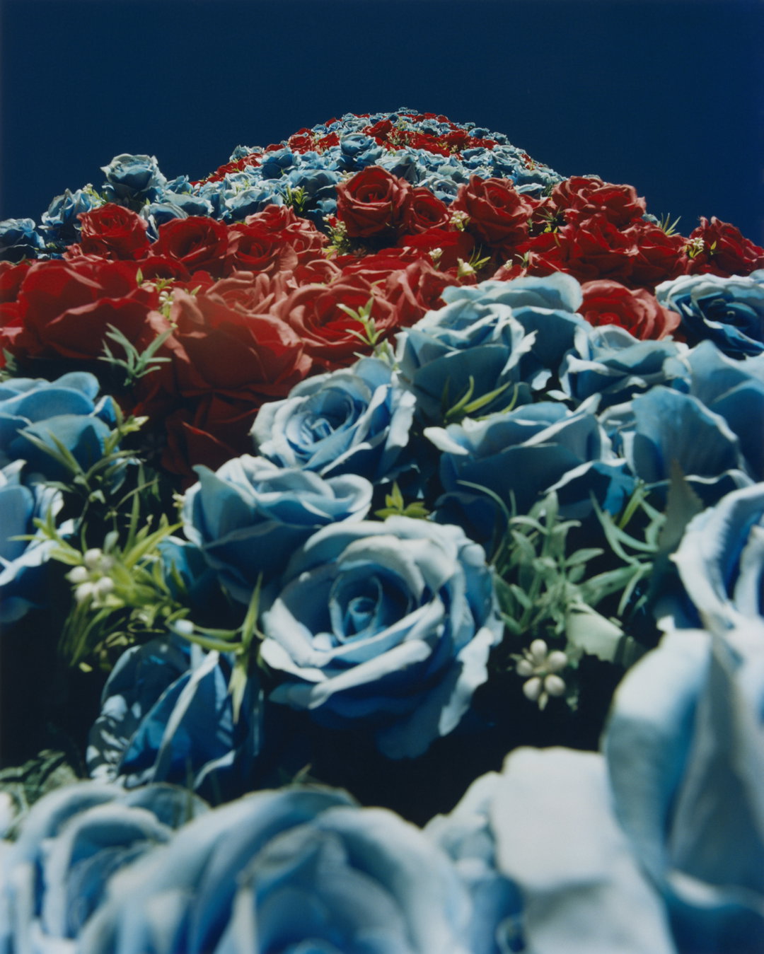 samuel-bradley-kat-chan-immortal-mushroom-publication-itsnicethat-01.jpg