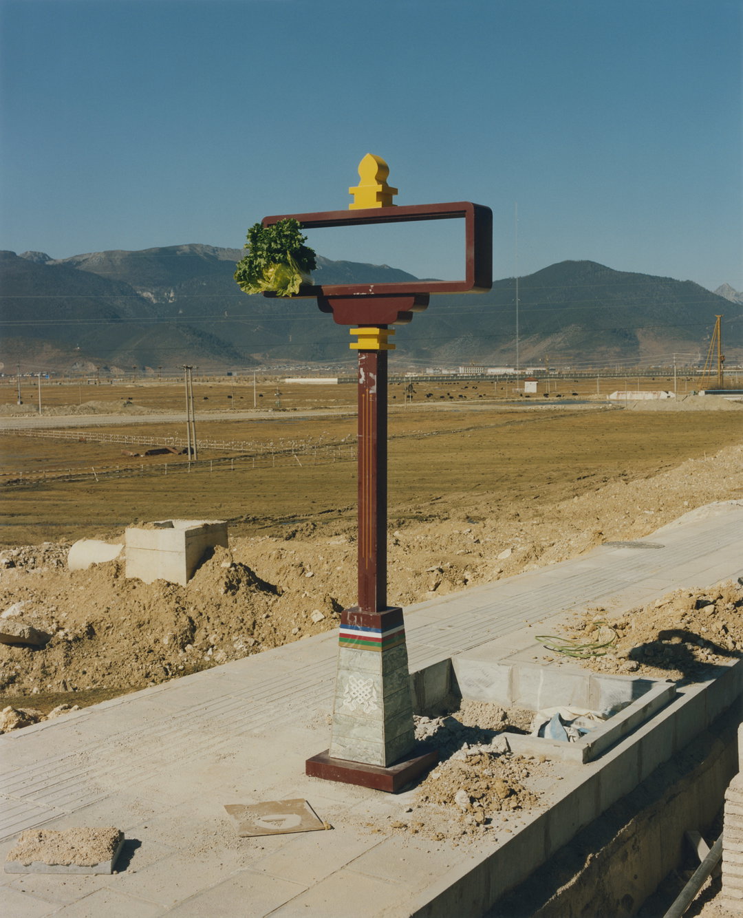 samuel-bradley-kat-chan-immortal-mushroom-publication-itsnicethat-04.jpg