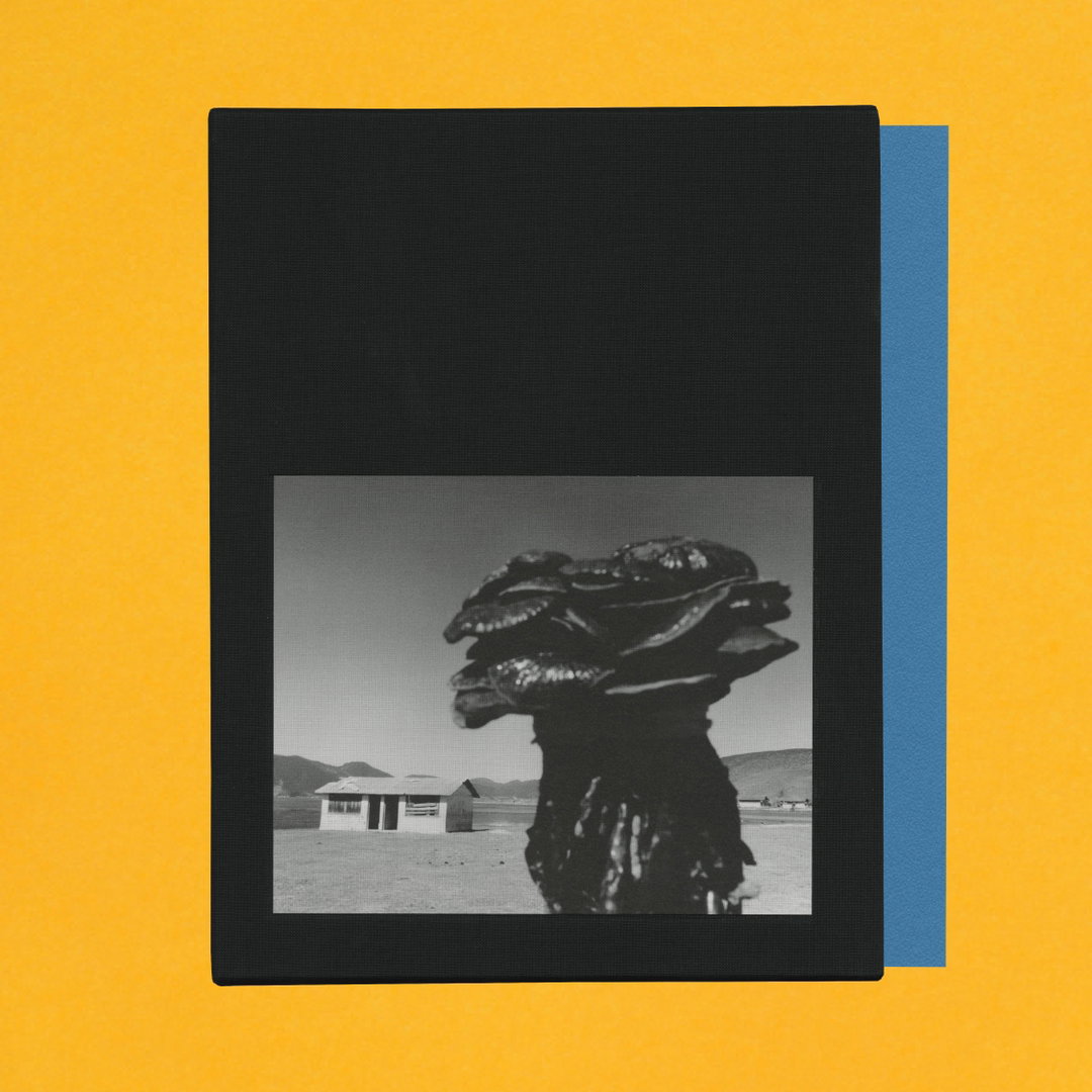 samuel-bradley-kat-chan-immortal-mushroom-publication-itsnicethat-06.jpeg