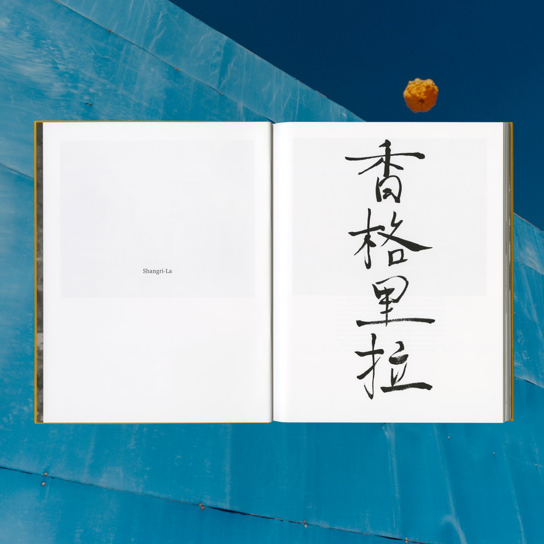 samuel-bradley-kat-chan-immortal-mushroom-publication-itsnicethat-13.jpg