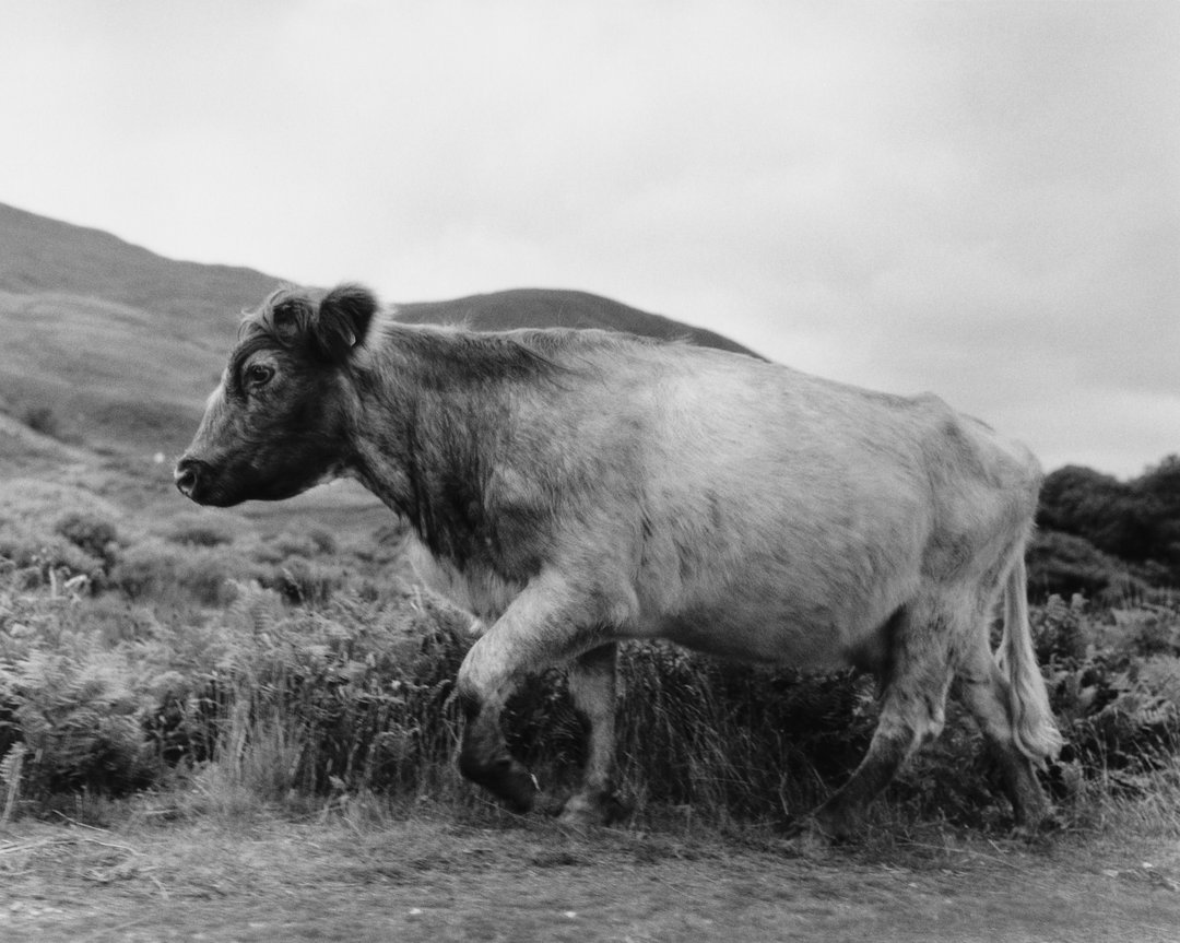 samuel-bradley-norse-projects-aw21-photography-film-itsnicethat-9.jpg