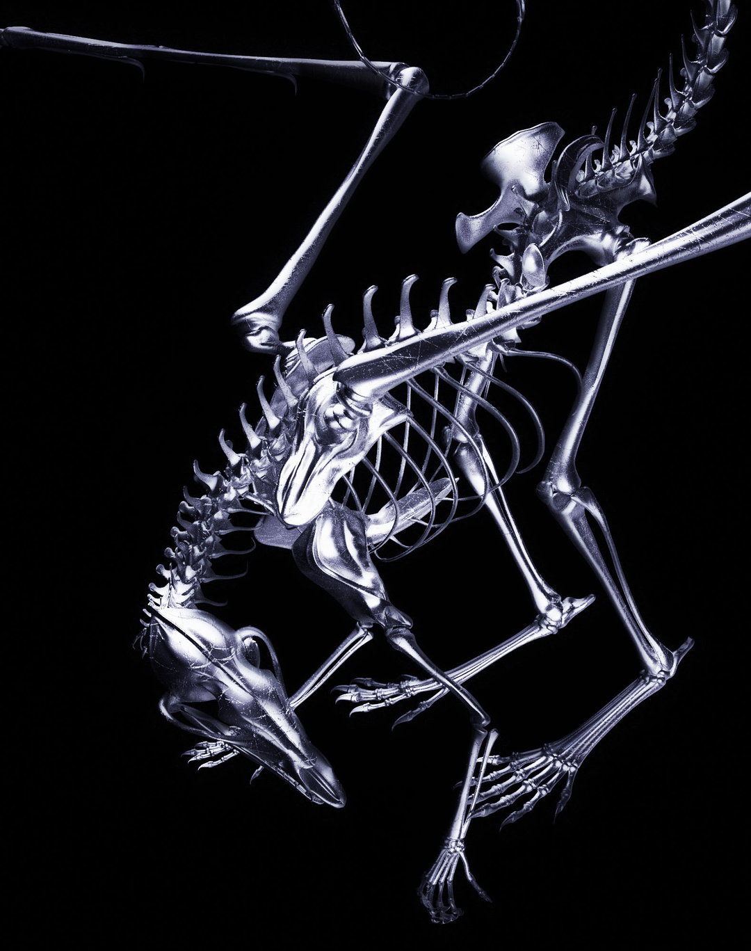 sañros - Nov 2022 - Abel Emmanuel  - itsnicethat.jpg