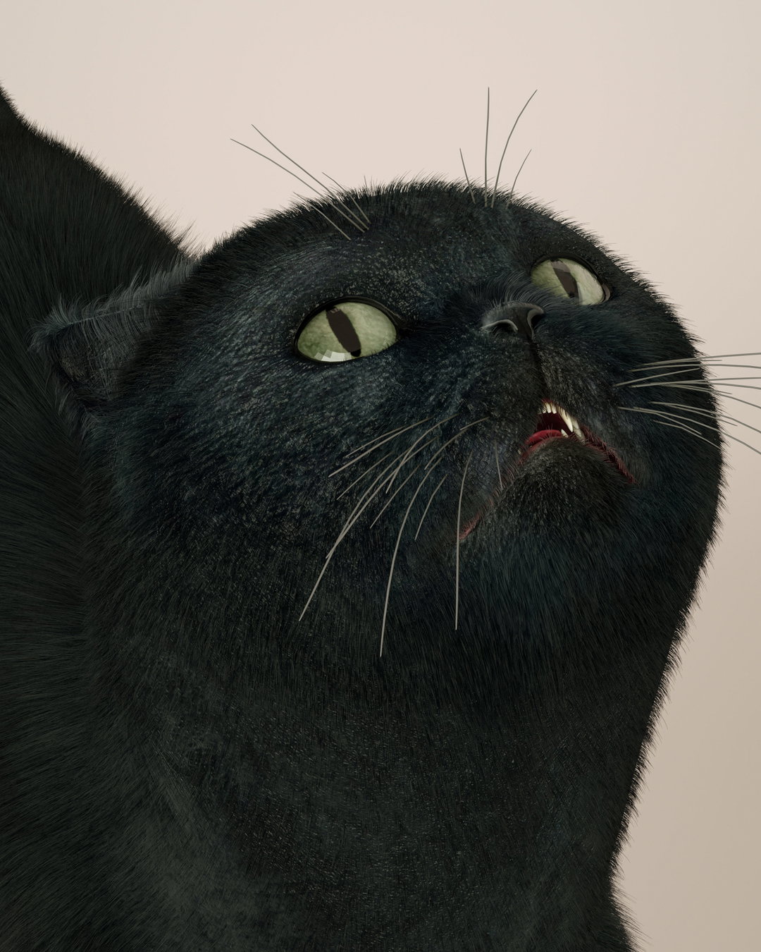 sasha-katz-Blackpearl.jpg