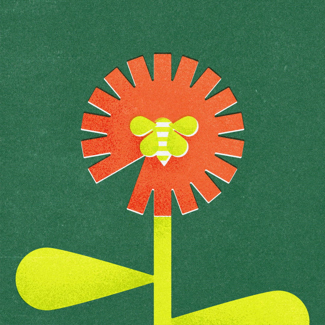 scorpion-rose-studio-goldbug-graphic-design-project-itsnicethat-10.jpg