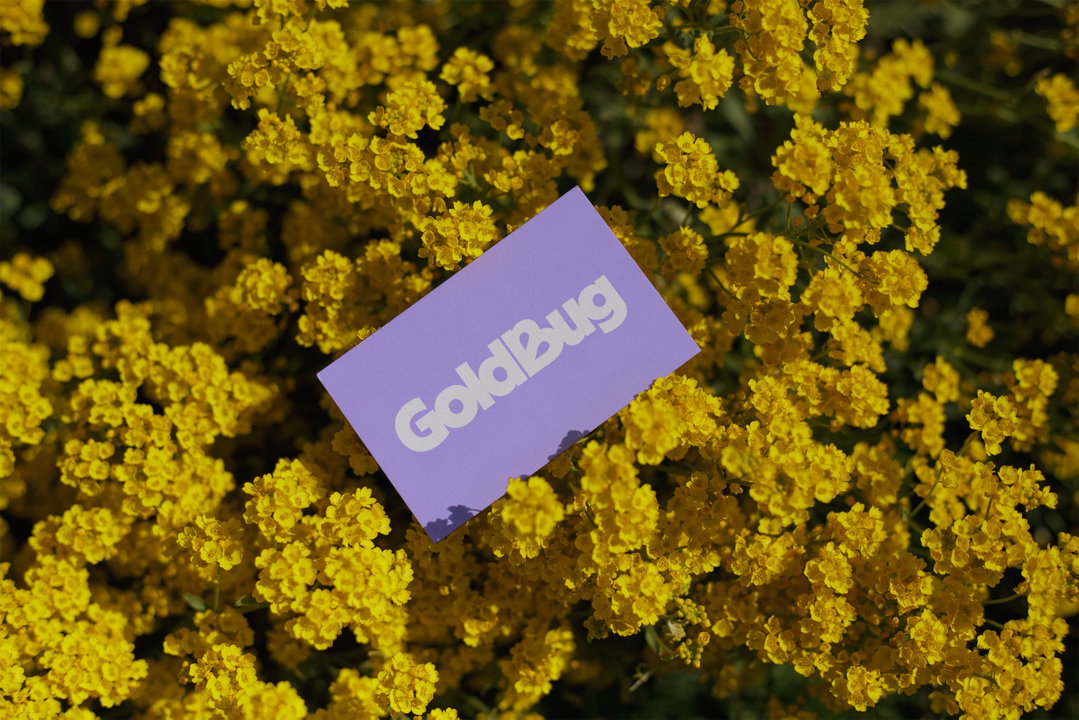 scorpion-rose-studio-goldbug-graphic-design-project-itsnicethat-4.jpg