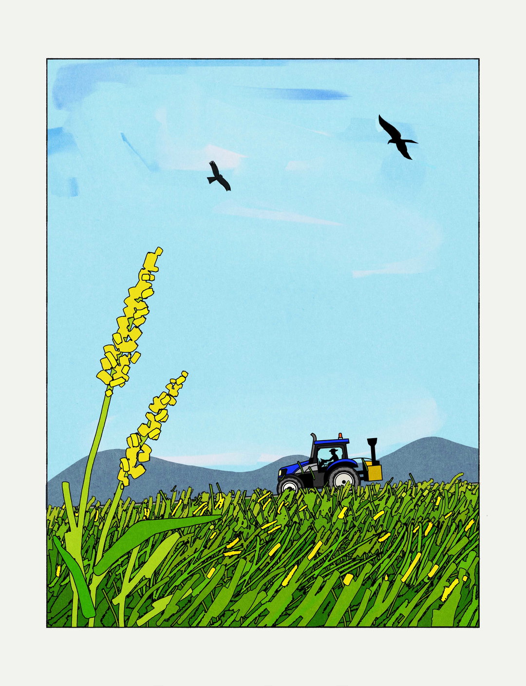 seb-agresti-studio-kura-illustration-itsnicethat-11.jpg