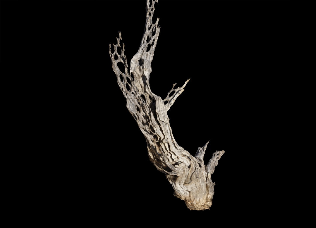 seeing-the-invisible-itsnicethat-02.jpg