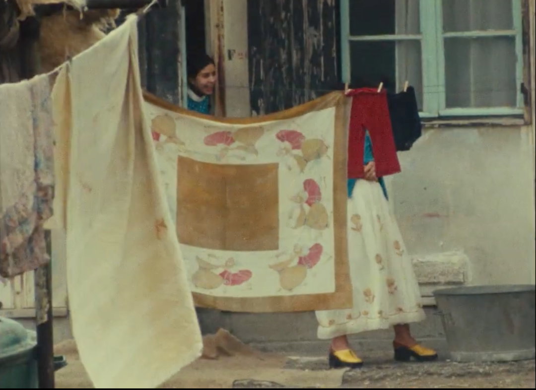 shasha-movies-afro-arab-cinema-film-itsnicethat-09.jpg