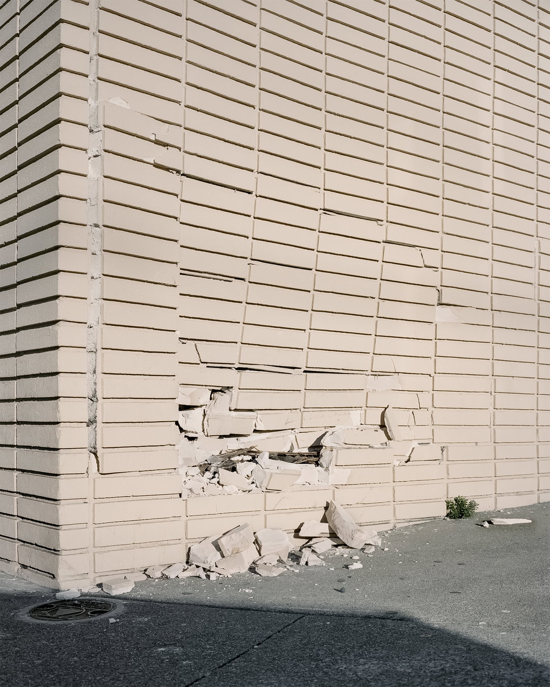 shawn-bush-between-gods-and-animals-photography-itsnicethat-09.jpg
