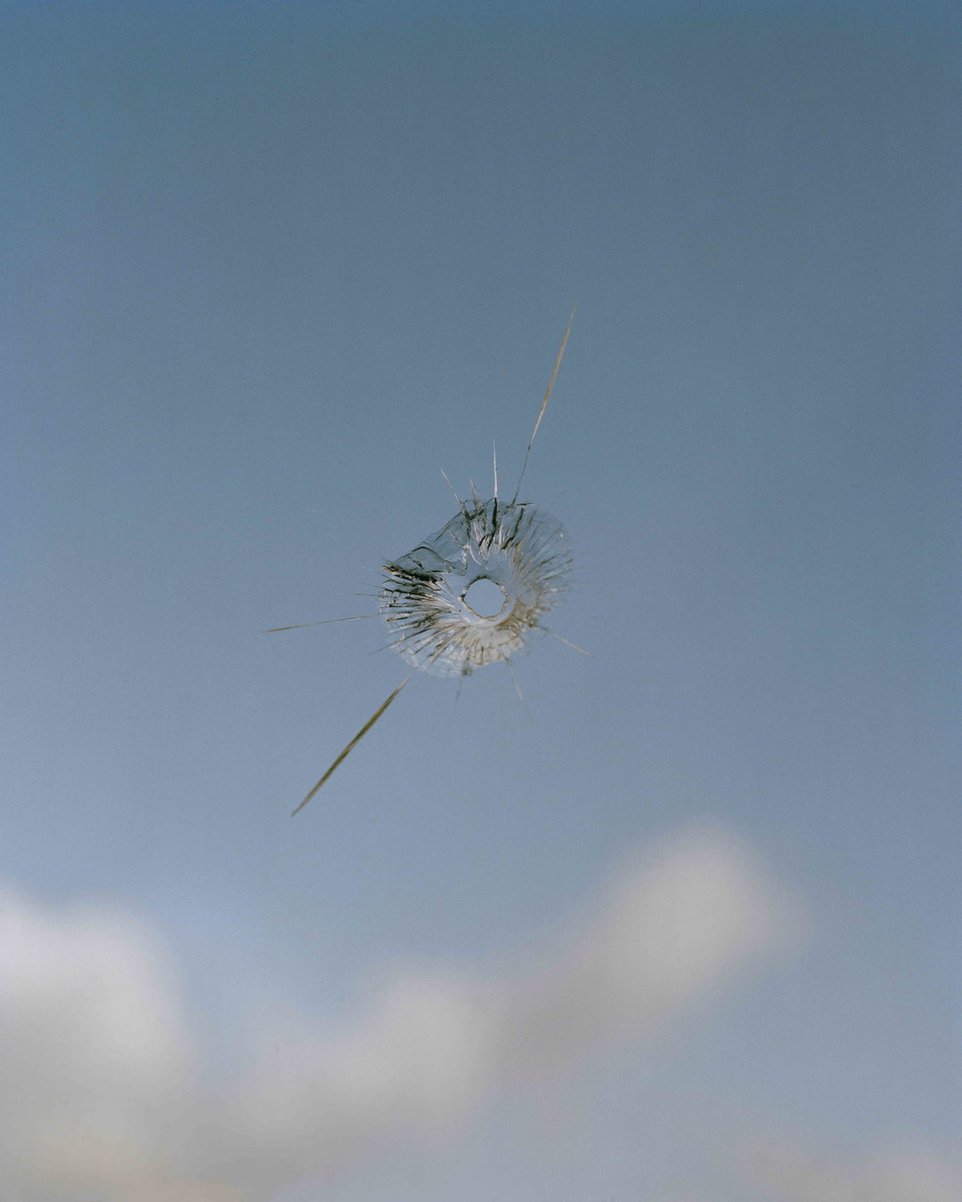 silvana-trevale-photography-itsnicethat-03.jpg