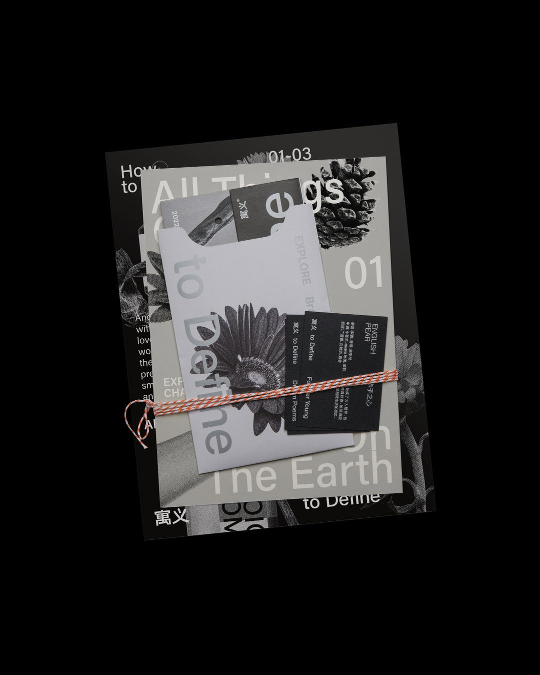 simin-xu-graphic-design-itsnicethat-06.jpg