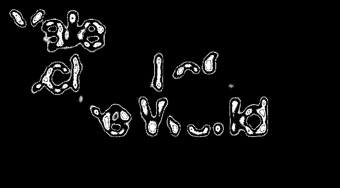 simone-cutri-graphic-design-itsnicethat-08.gif