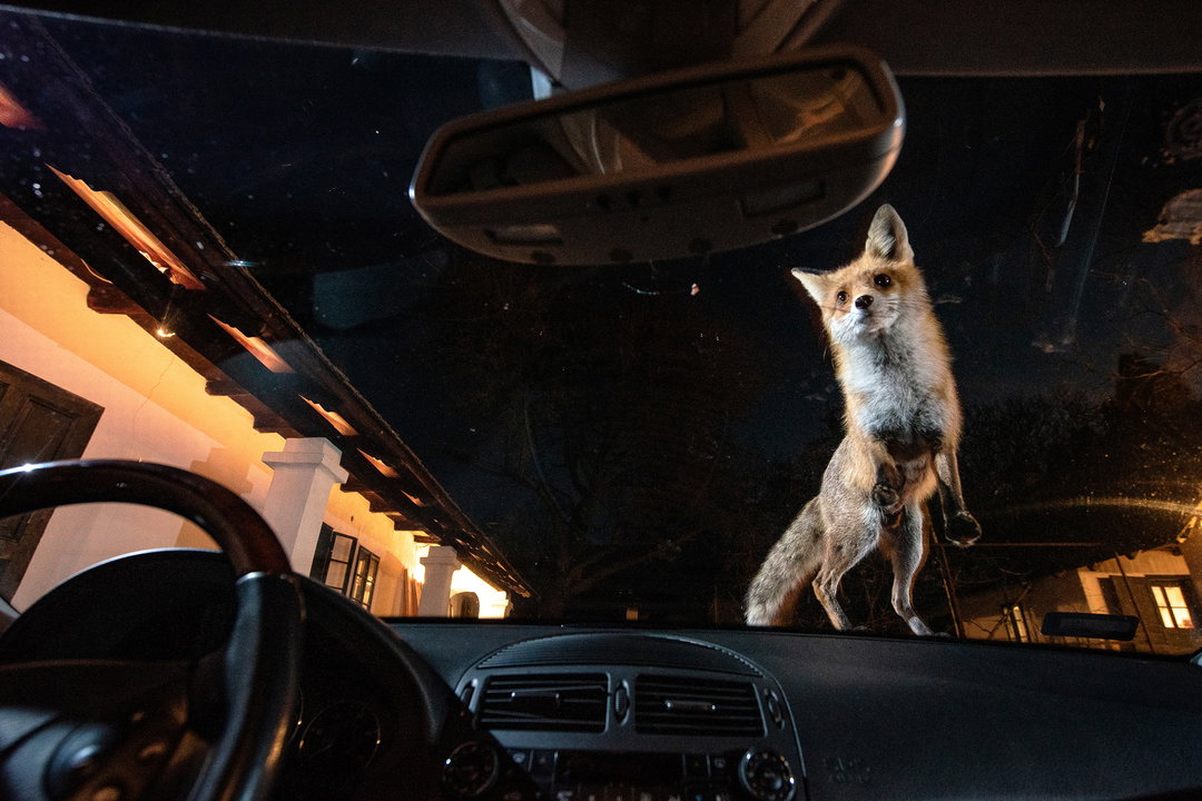 sony-world-photography-awards-2022-photography-itsnicethat-09.jpg