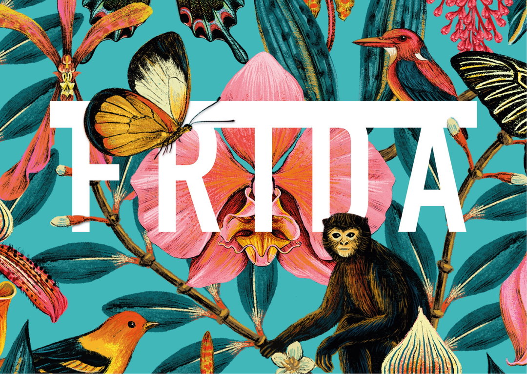 stefan-sagmeister-gotti-frida-product-design-itsnicethat-01.jpg