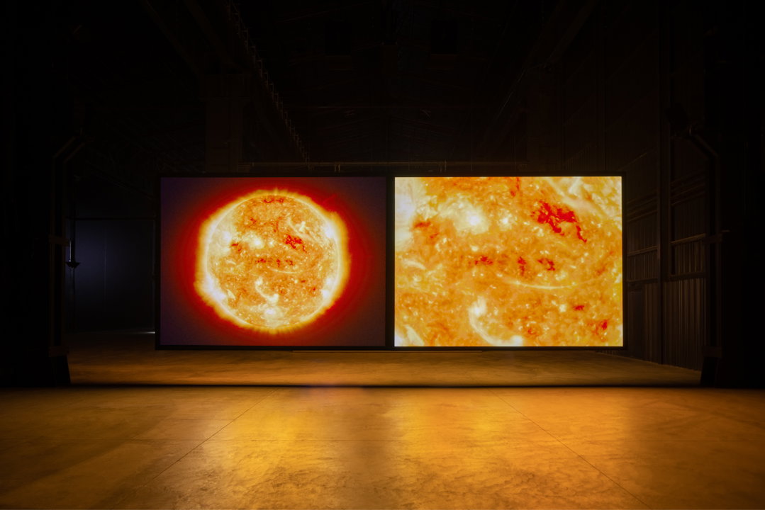 Steve McQueen unveils long-awaited Sunshine State at Film Festival Rotterdam