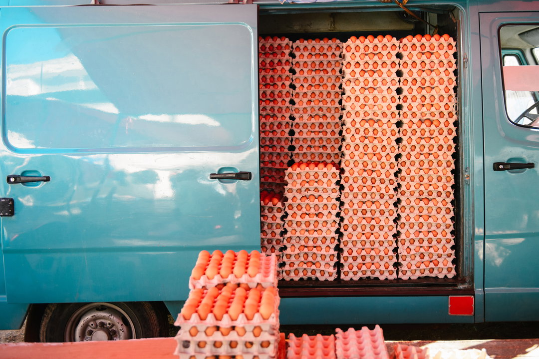 stocksy-co-op-report-creative-industry-sponsored-content-itsnicethat-1.jpg