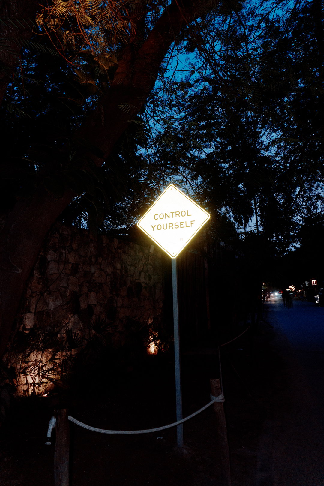 stocksy-signs-of-life-creative-industry-sponsored-content-itsnicethat-8.jpg