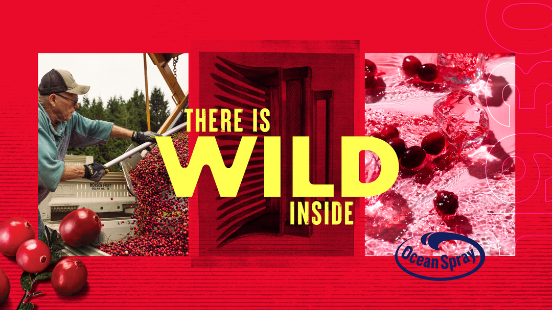 stone-strategy-and-design-ocean-spray-graphic-design-itsnicethat-08.png