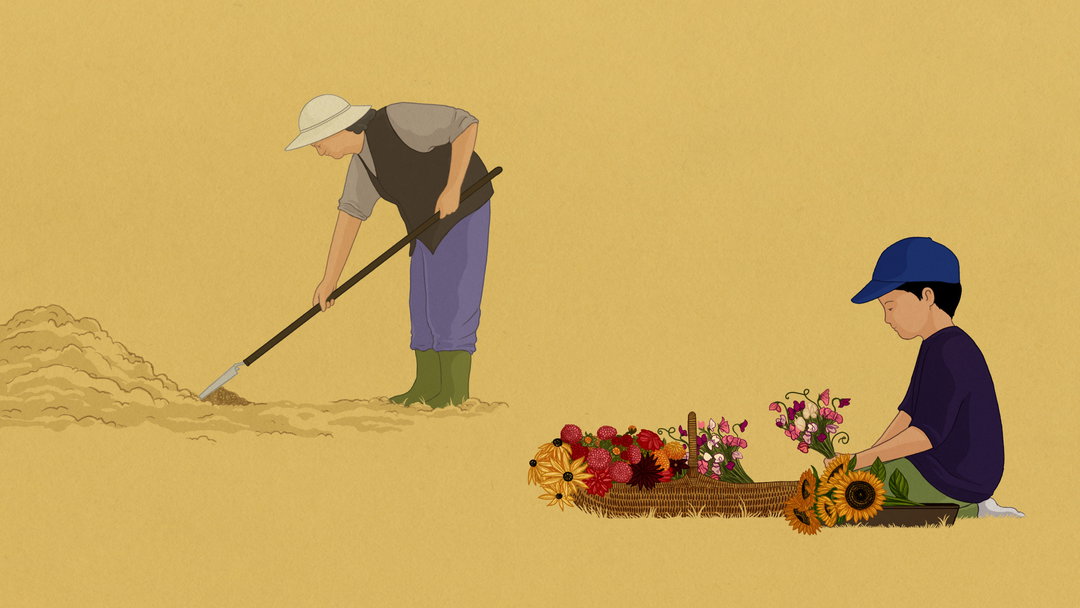story-of-flowers-2-work-animation-itsnicethat-10.jpg