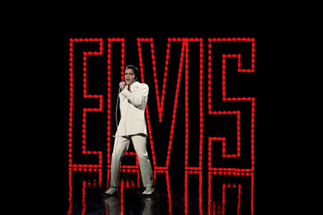 studio-herrström-elvis-graphic-design-itsnicethat-01.gif