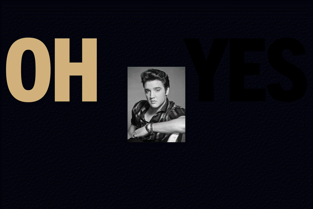 studio-herrström-elvis-graphic-design-itsnicethat-06.gif