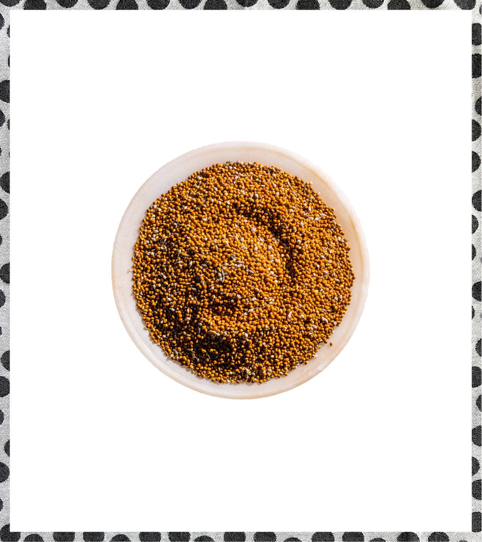 studio h-100 flavours-7.jpg