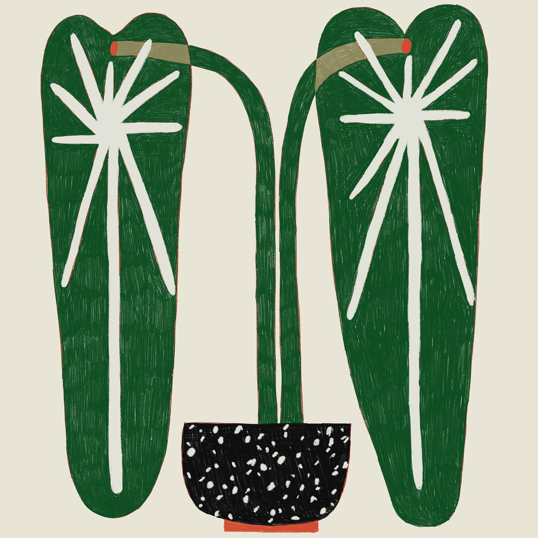 taehyoung-jeon-illustration-itsnicethat1.JPG