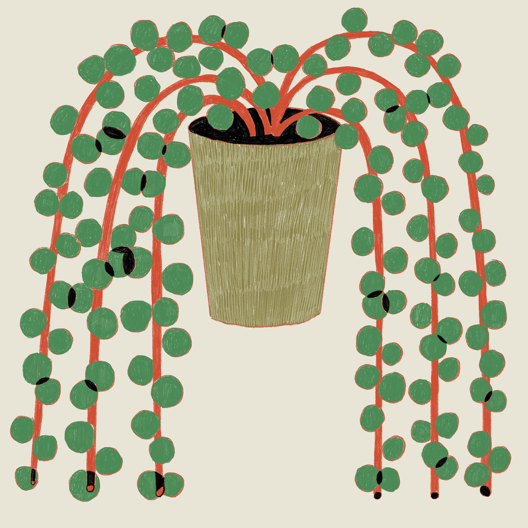 taehyoung-jeon-illustration-itsnicethat5.JPG