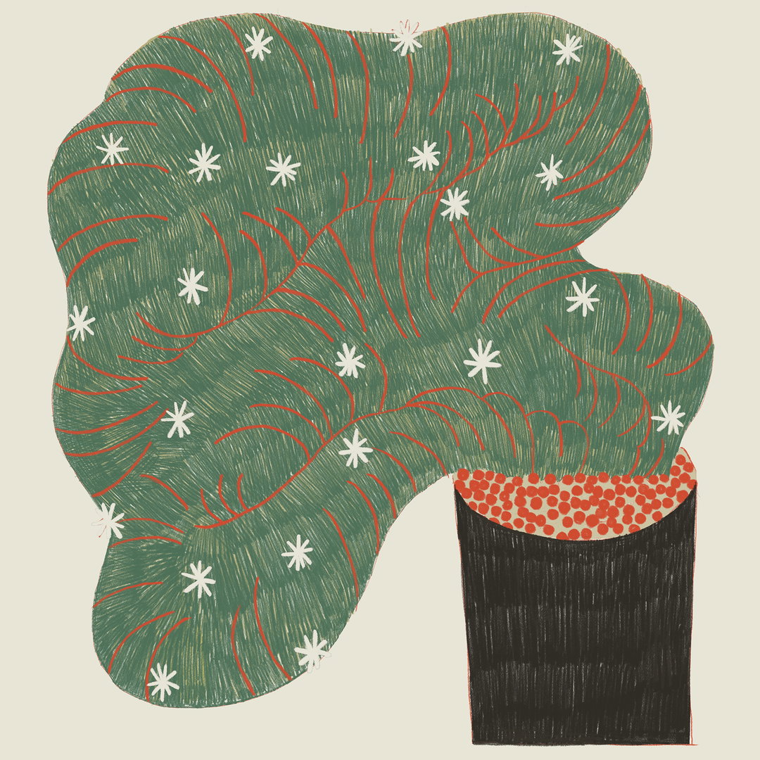 taehyoung-jeon-illustration-itsnicethat7.JPG