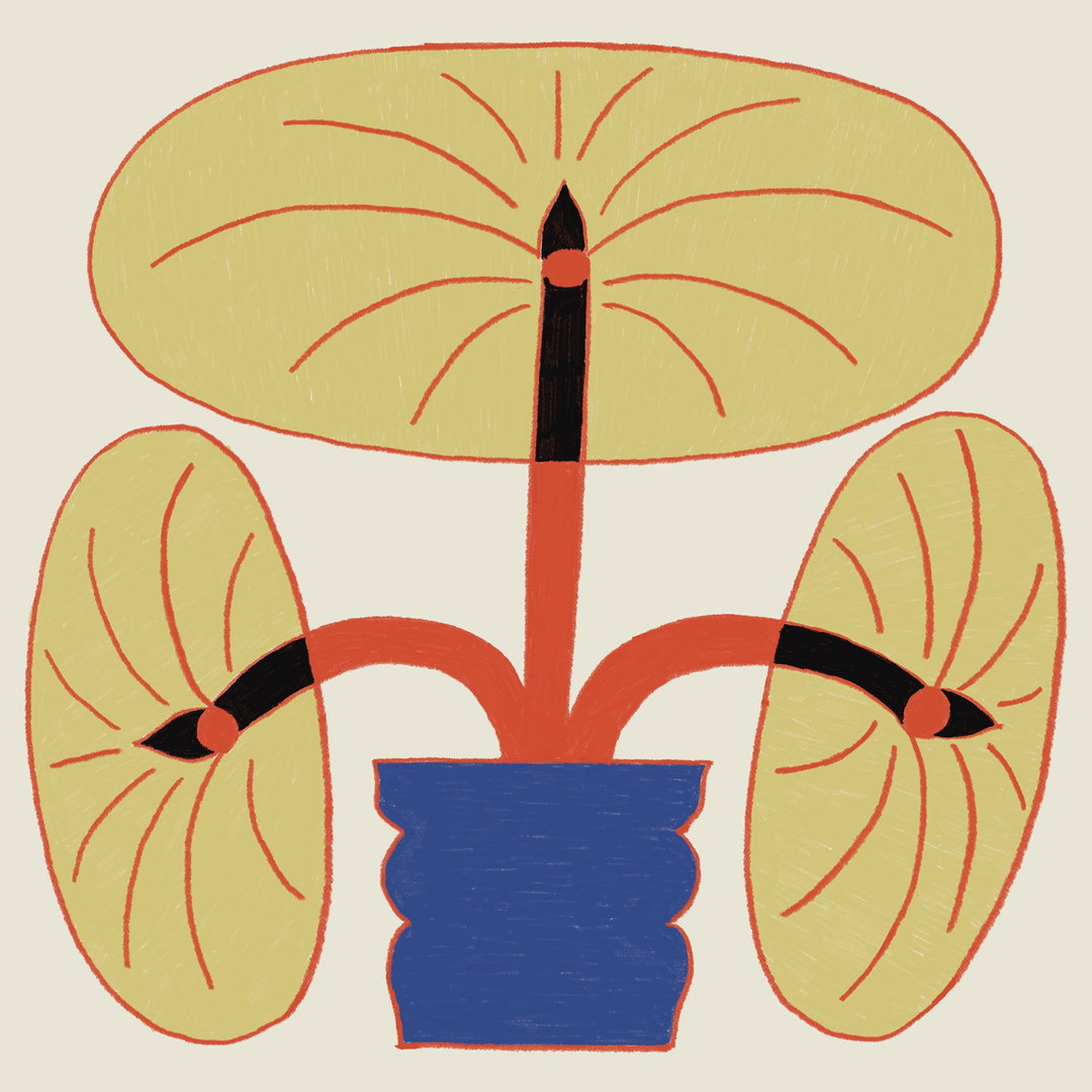 taehyoung-jeon-illustration-itsnicethat9.JPG
