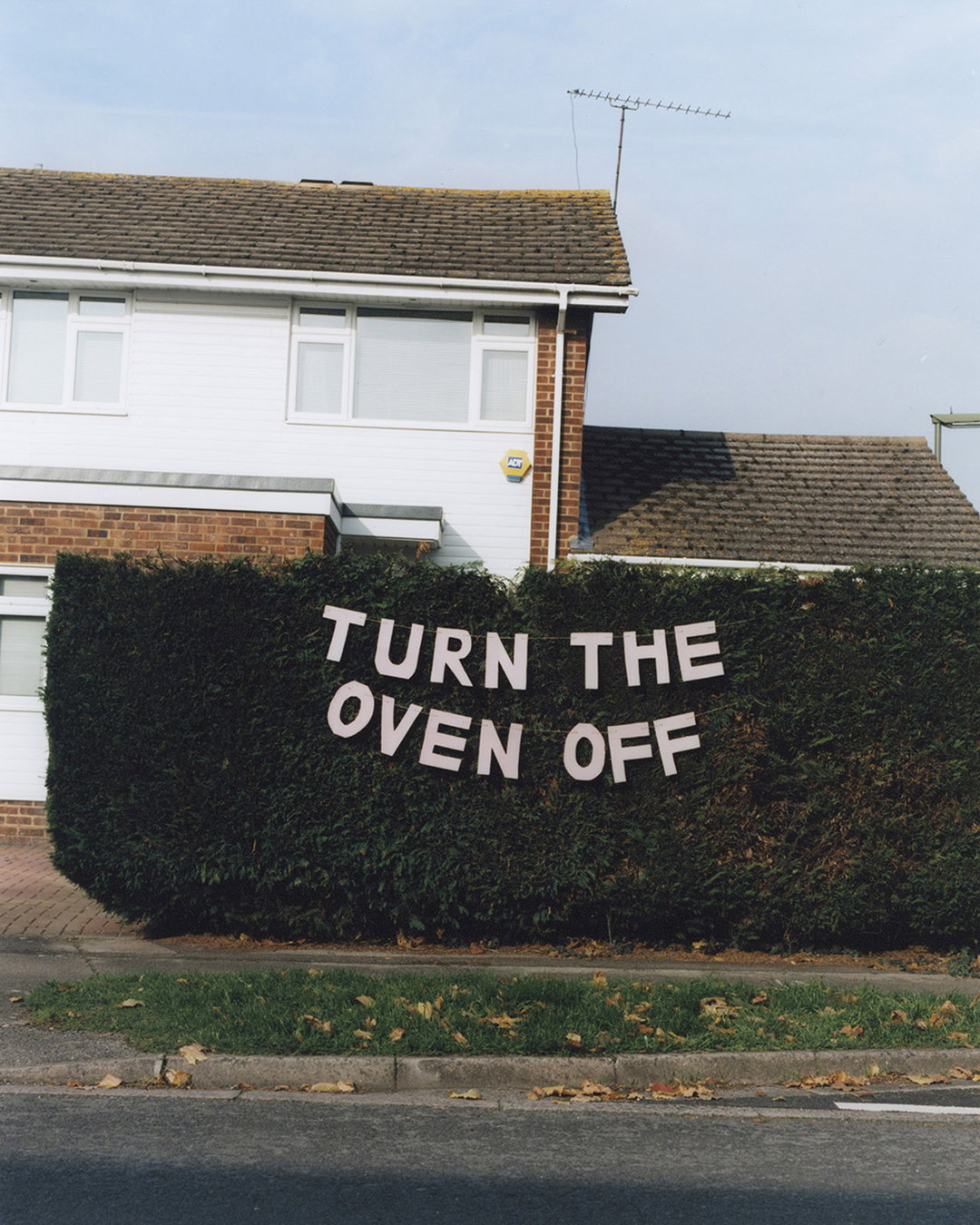 TamiAftab-TheDogIsInTheCar-Photography-itsnicethat.jpg