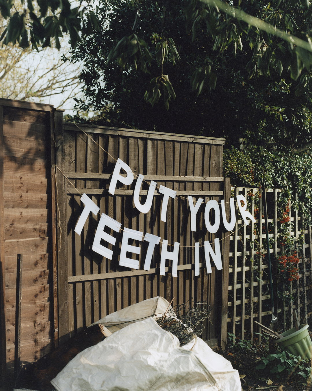 TamiAftab-TheDogIsInTheCar-Photography-itsnicethat.jpg