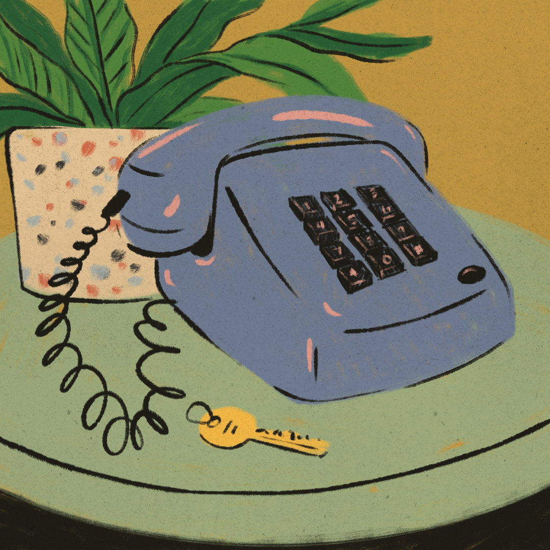 HaleyTippmann-Telephone-Illustration-itsnicethat.jpg