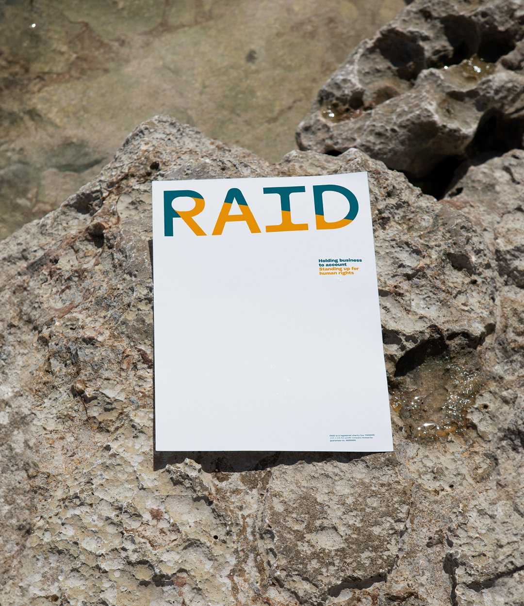 templo-raid-graphic-design-itsnicethat-012.jpg