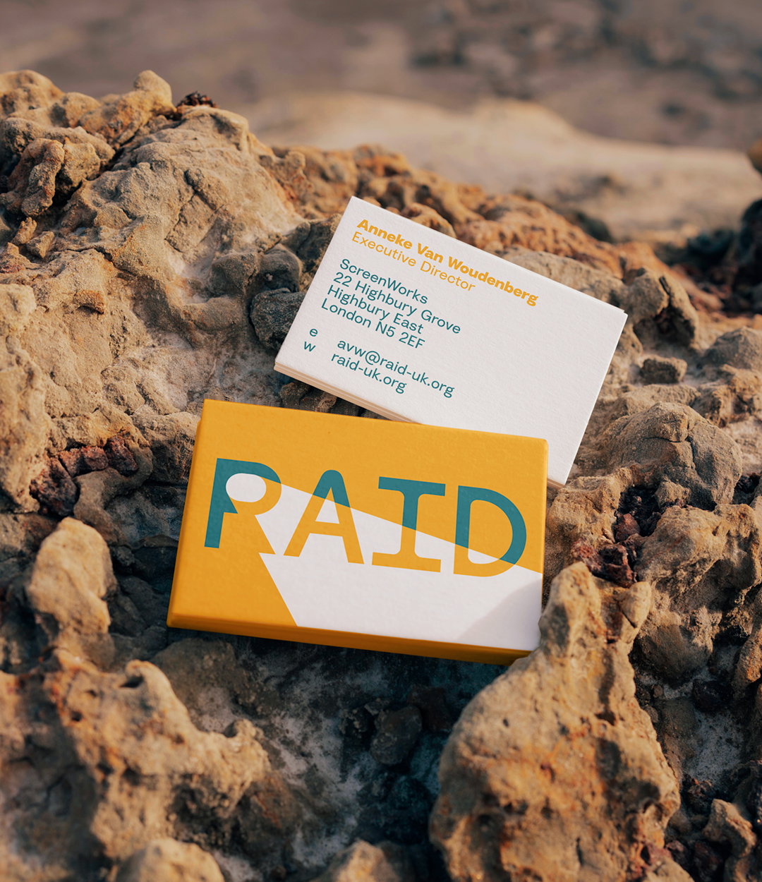 templo-raid-graphic-design-itsnicethat-013.jpg