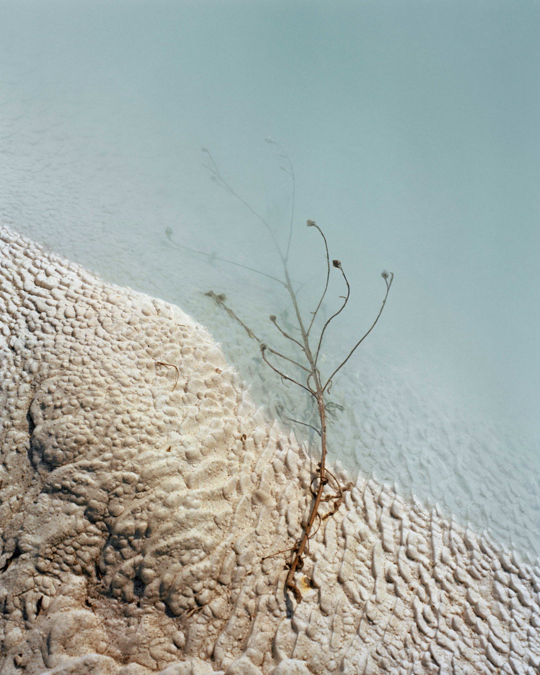 teodora-georgieva-along-the-swift-current-of-time-photography-itsnicethat-6.jpg