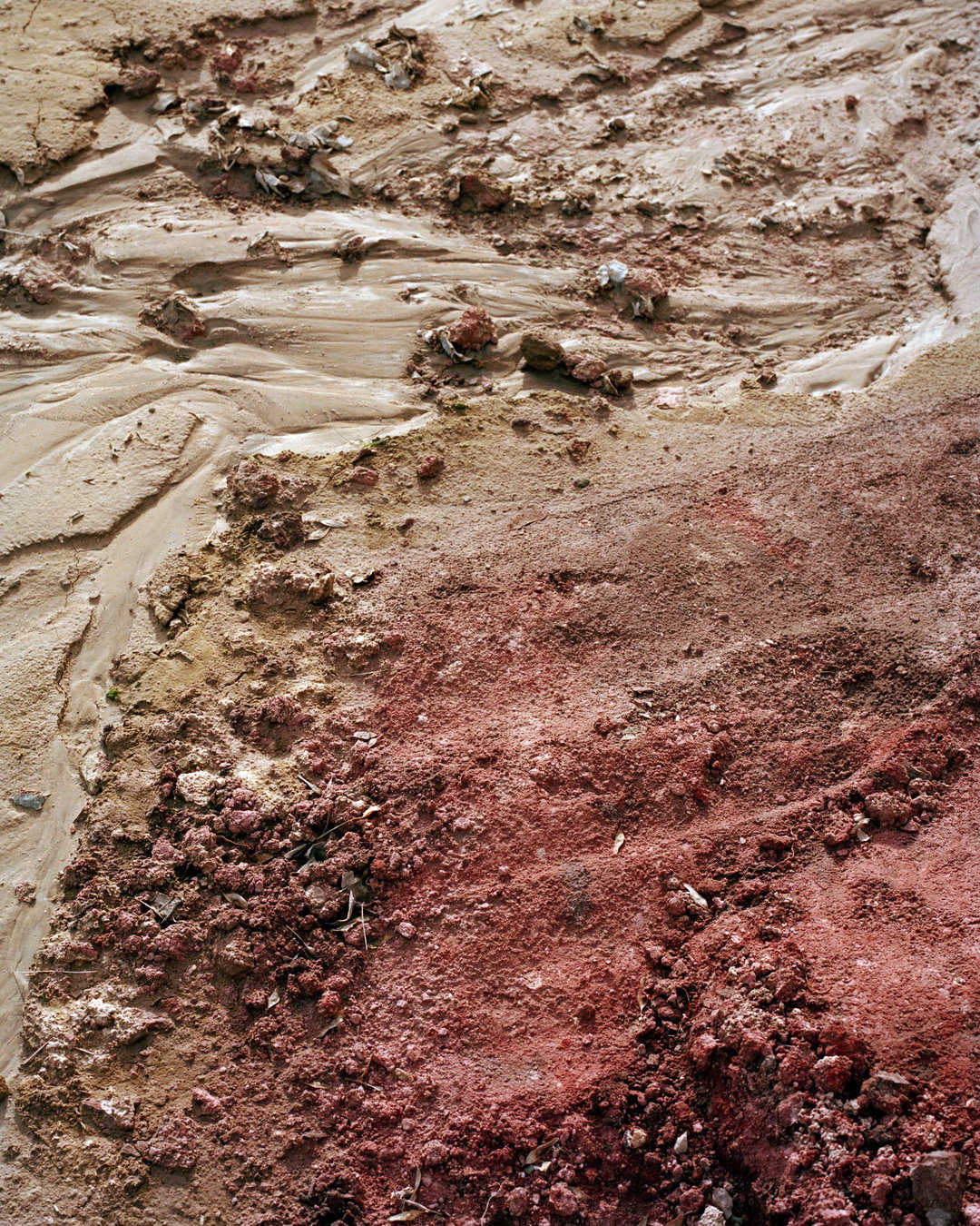 teodora-georgieva-along-the-swift-current-of-time-photography-itsnicethat-1.jpg