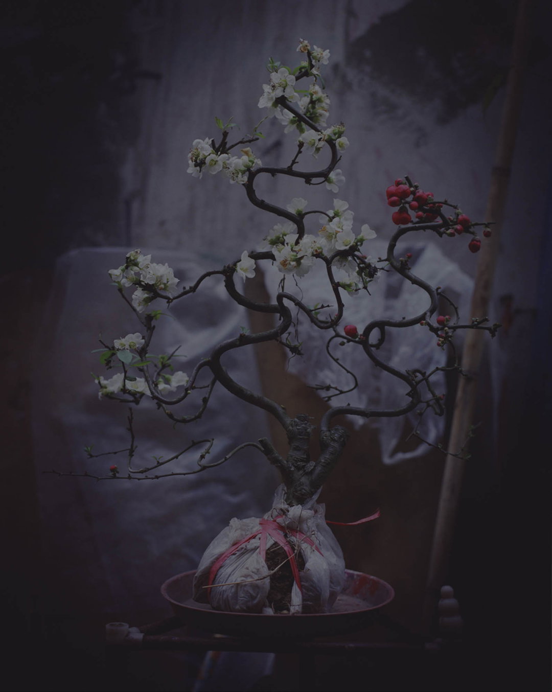 teresa-eng-china-dream-photography-itsnicethat-06.jpg
