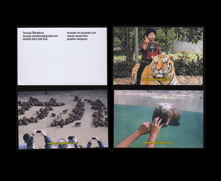 terezie-stindlova-graphic-design-itsnicethat-11.jpg