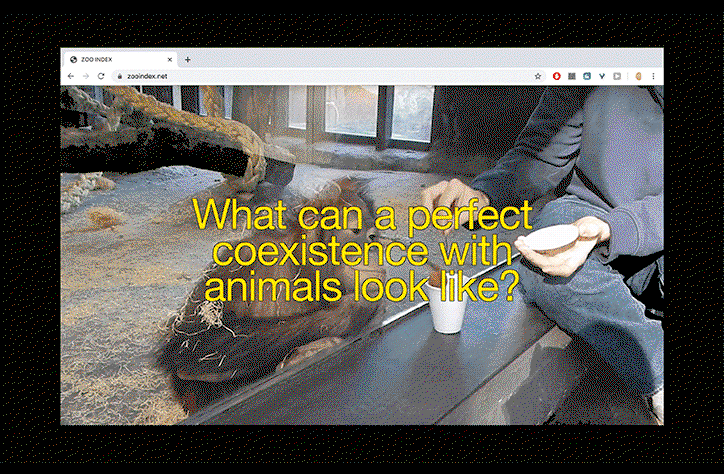 terezie-stindlova-graphic-design-itsnicethat-15.gif